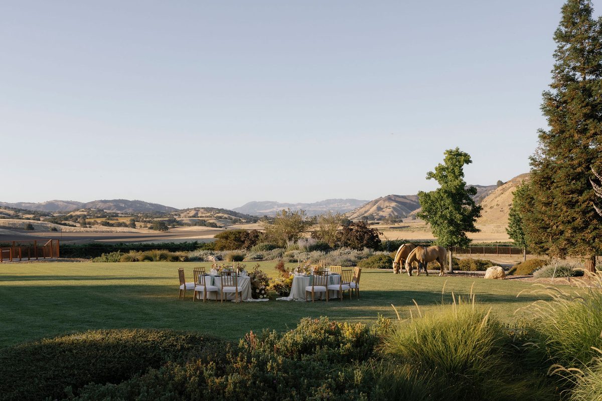 Dinner tables on the lawn, horses grazing beyond