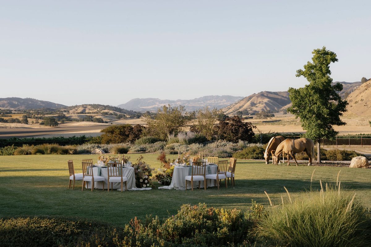 Dinner tables on the lawn beneath the hills