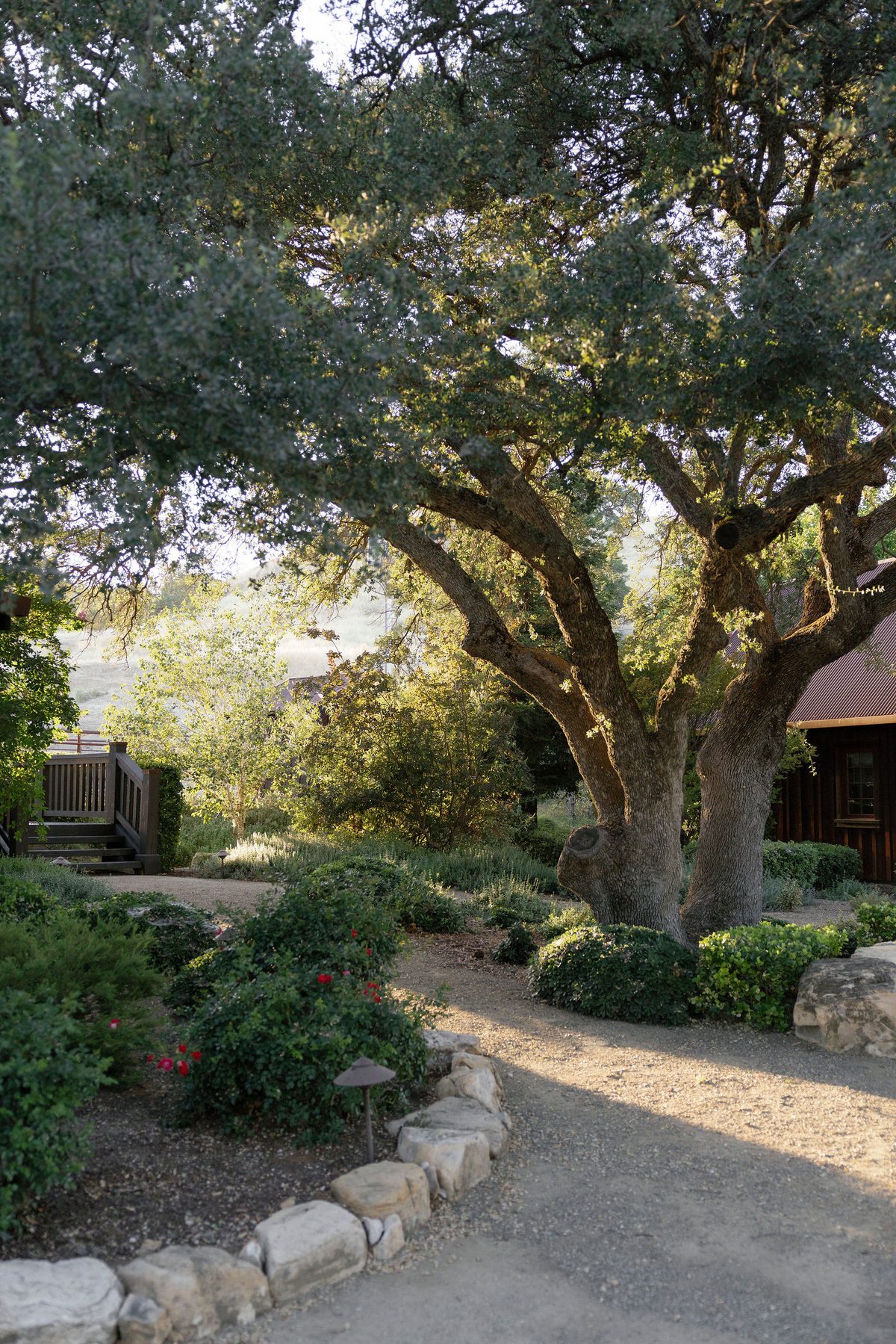 A garden path to the guest quarters beneath an oak