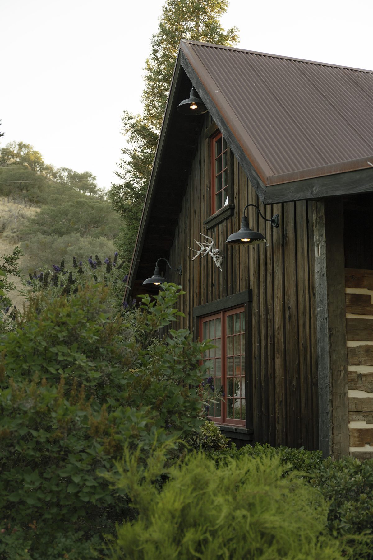 A timber cabin among oaks and native plantings