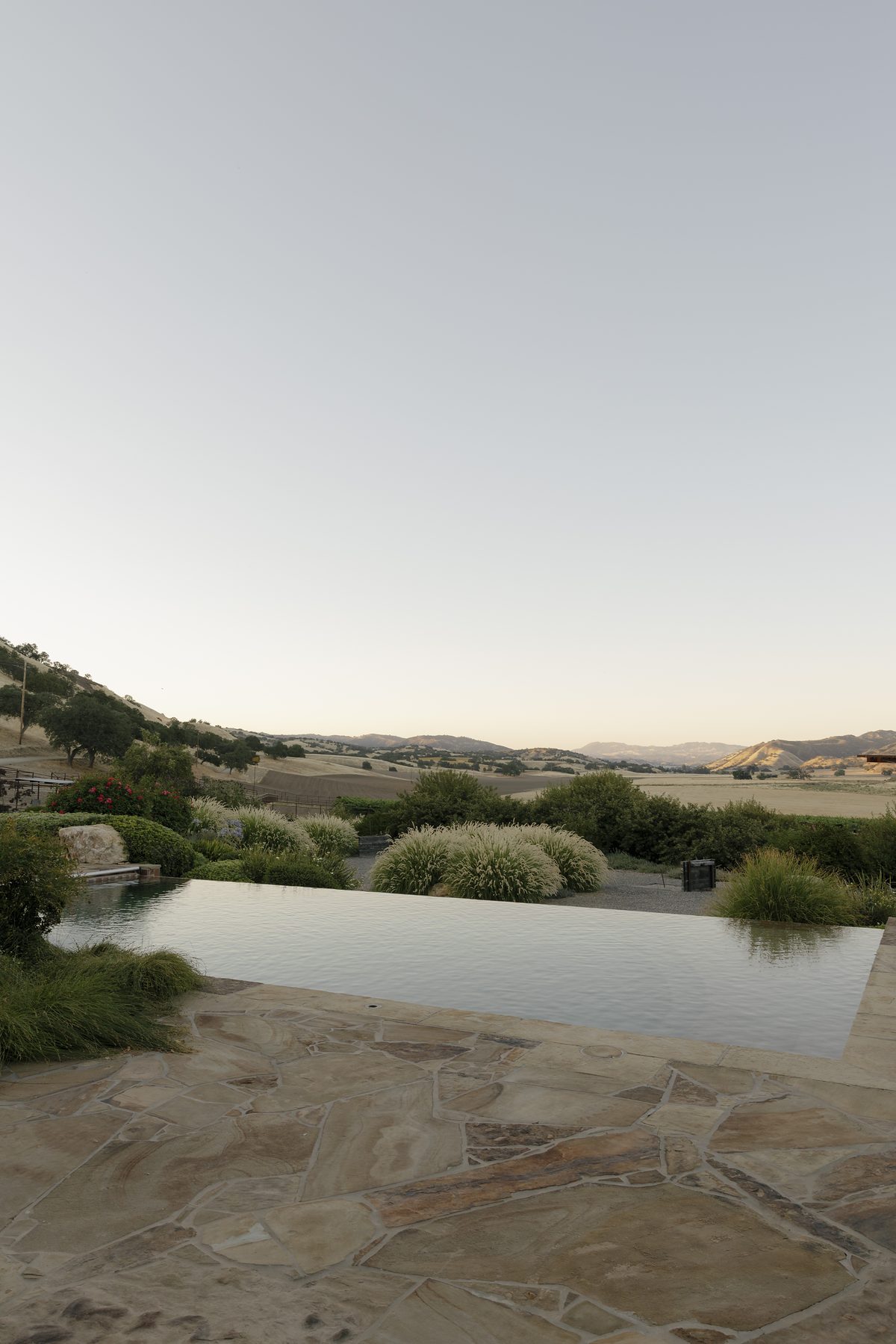 The pool edge and native grasses at dusk
