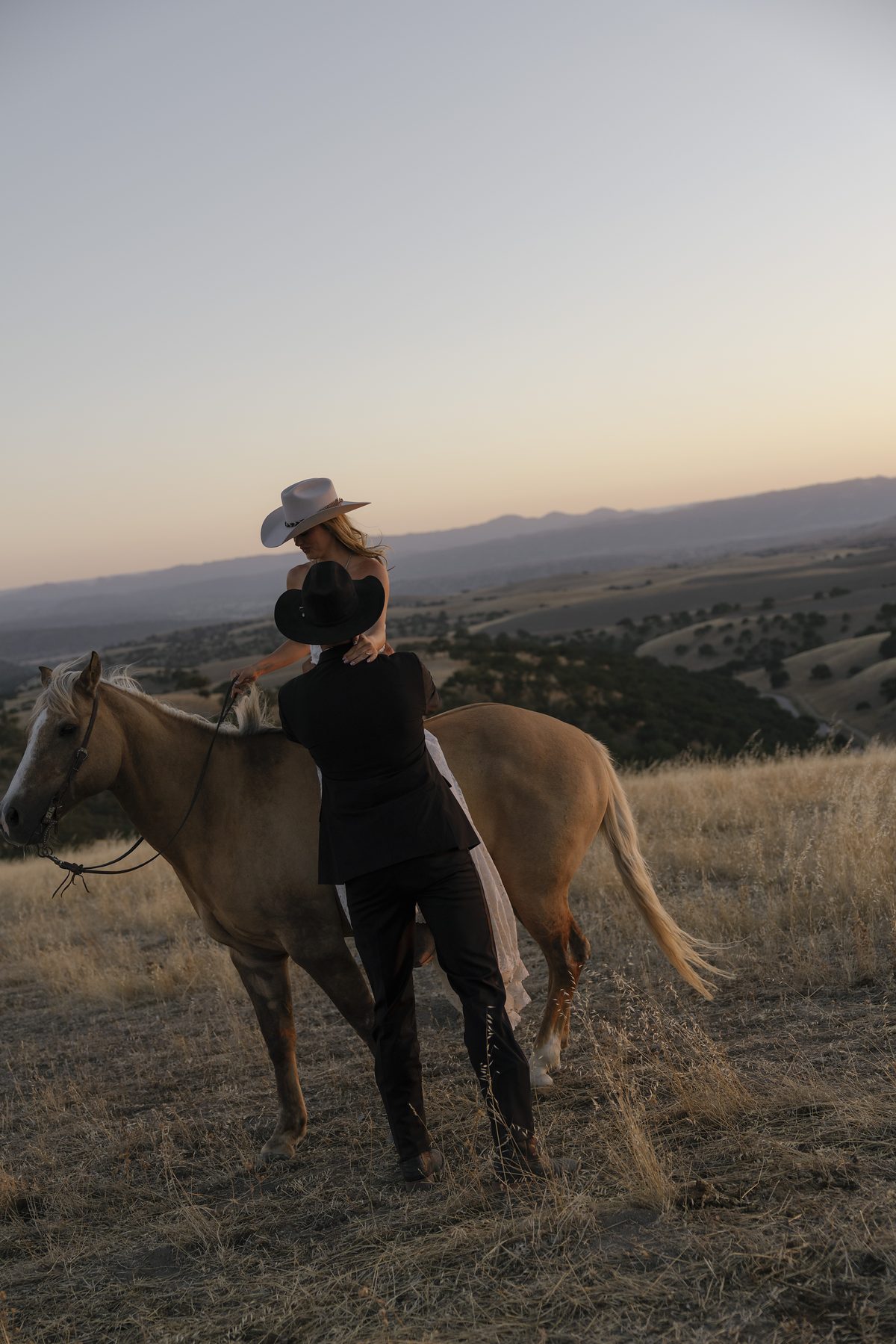 A rider on horseback against the evening sky