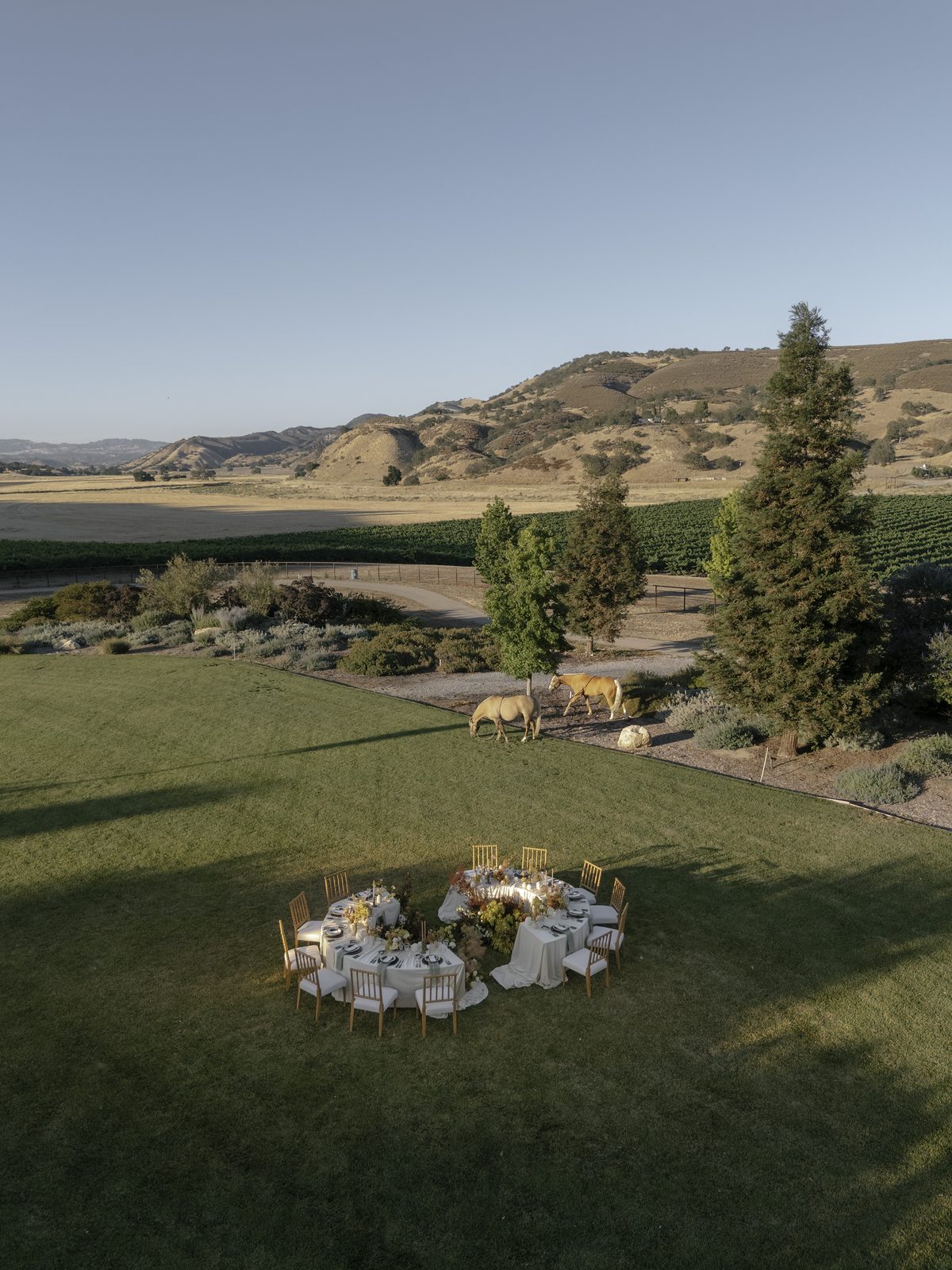 The lawn and fire ring at golden hour
