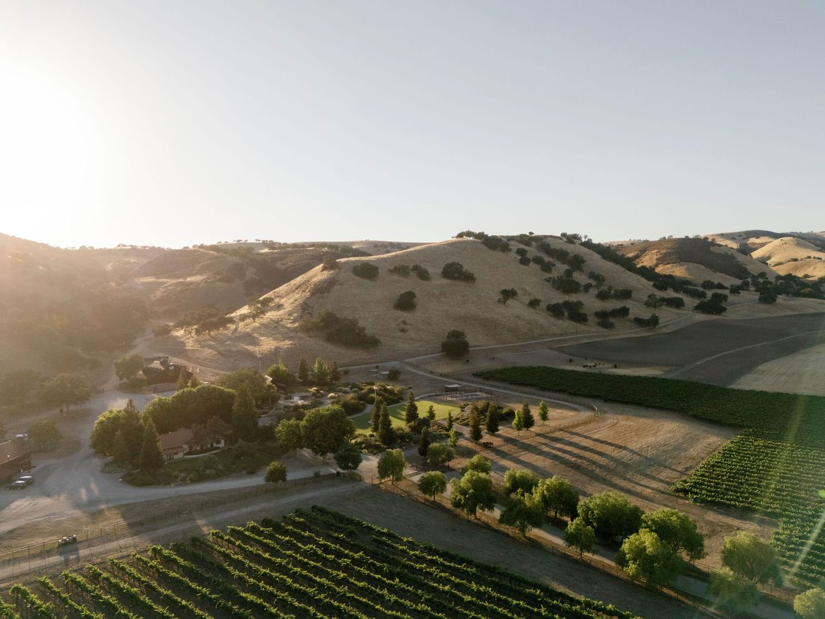 Vineyard and ranch land from the air in morning light