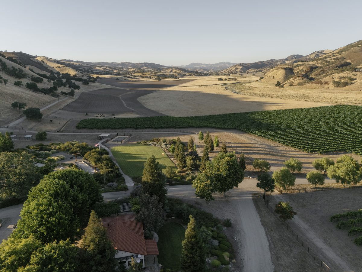 The estate from the air, with vineyard rows and oak hills beyond