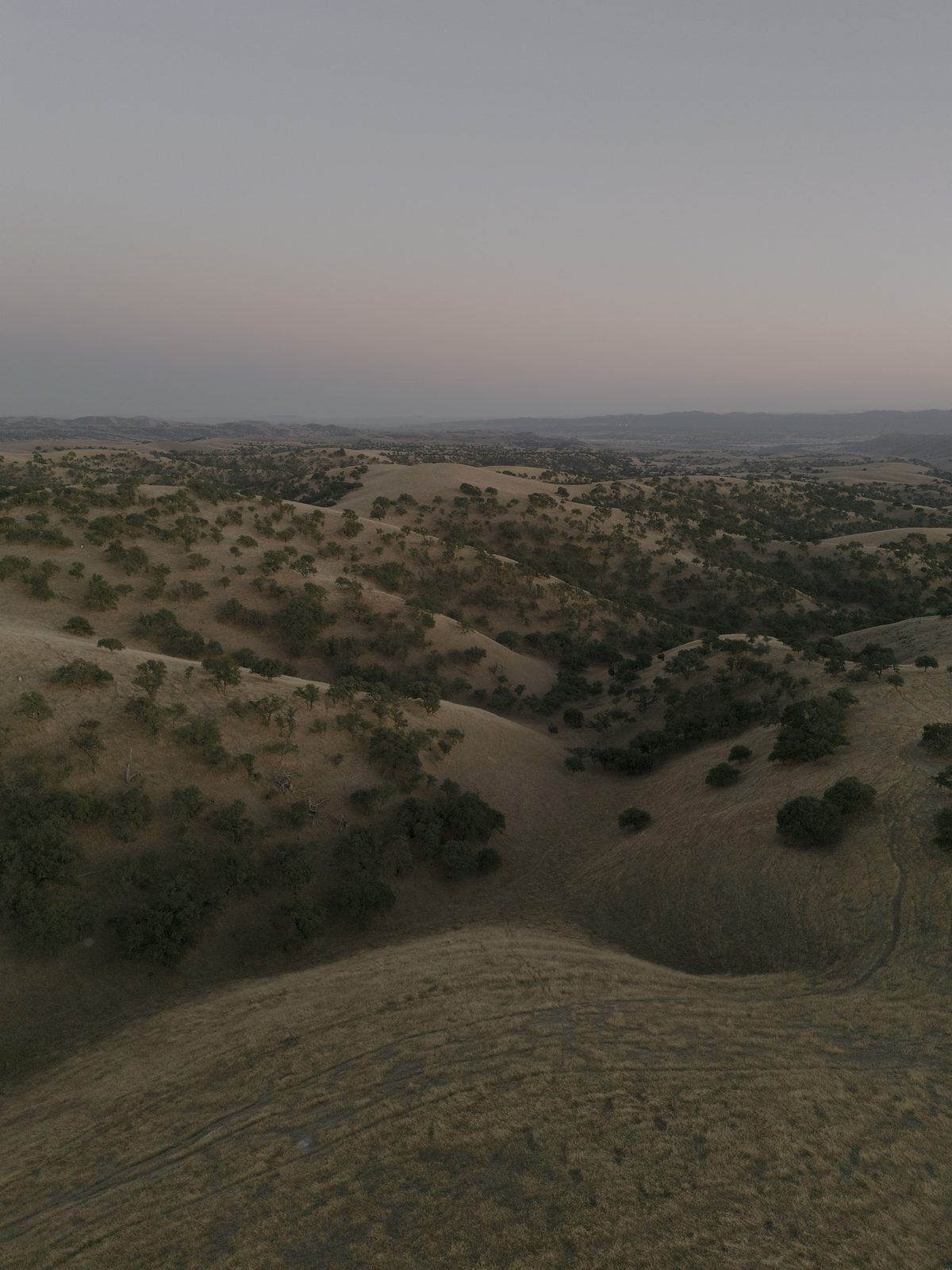 Oak-covered hills rolling to the horizon at dusk